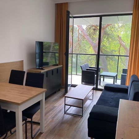 Apartament Dorka Rogowo  Esterno foto